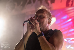 DSCF2265,large.1535127744